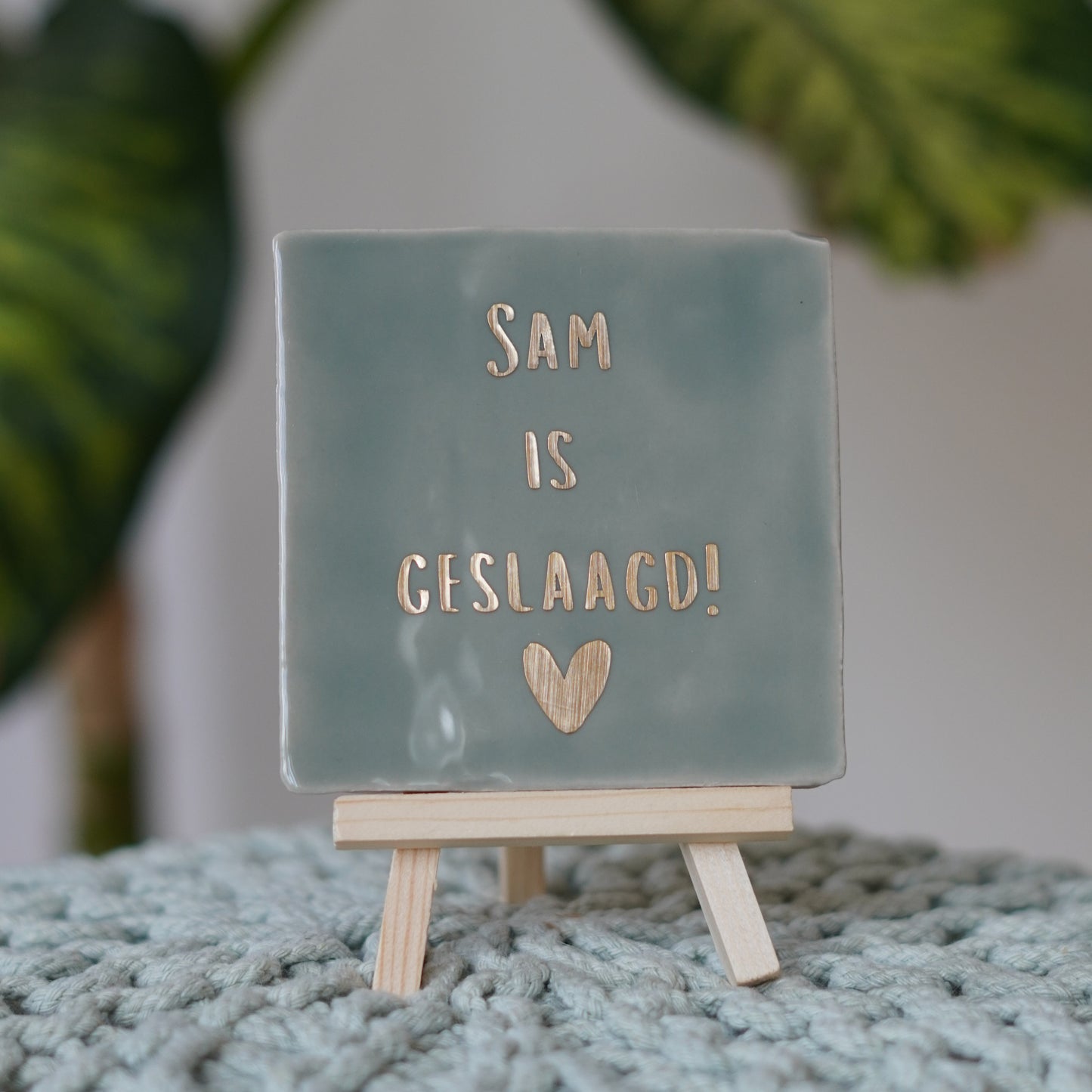 ... is geslaagd