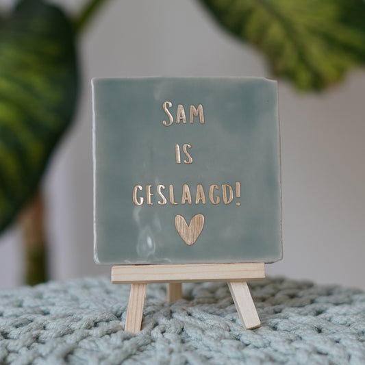 ... is geslaagd